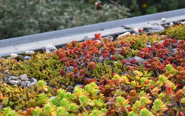 the cost of Thornton Watlass green roof installation
