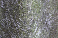 Thornton Watlass fibreglass roof work